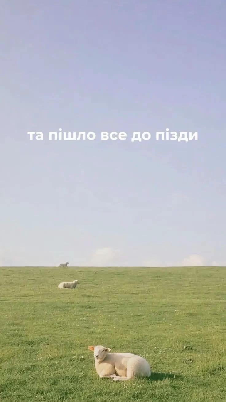 @oleksandra21.01