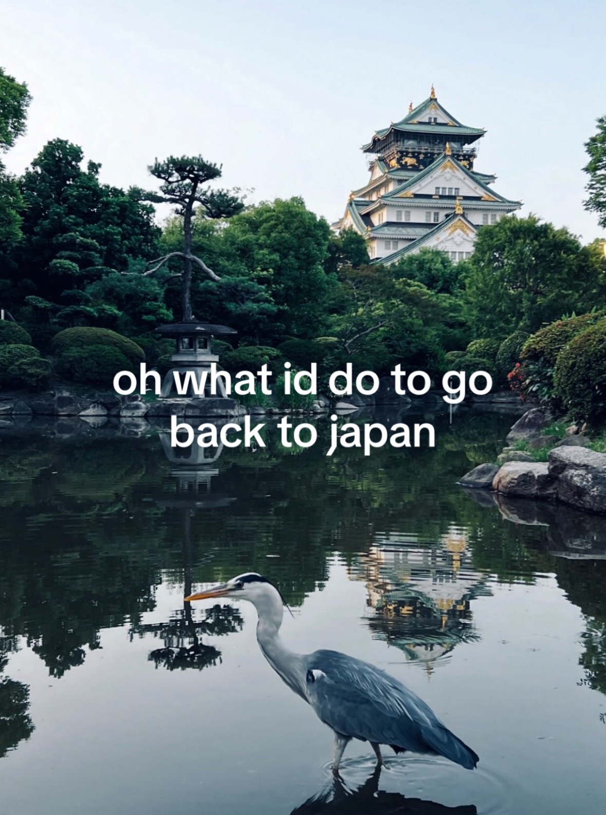 @slikesu
