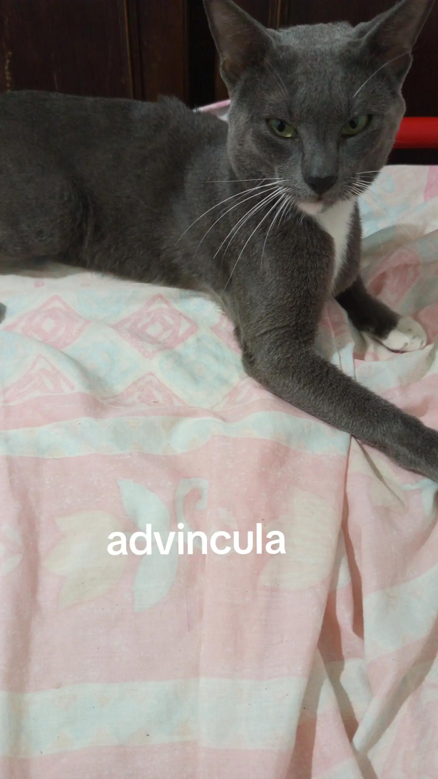 @Dieguinho