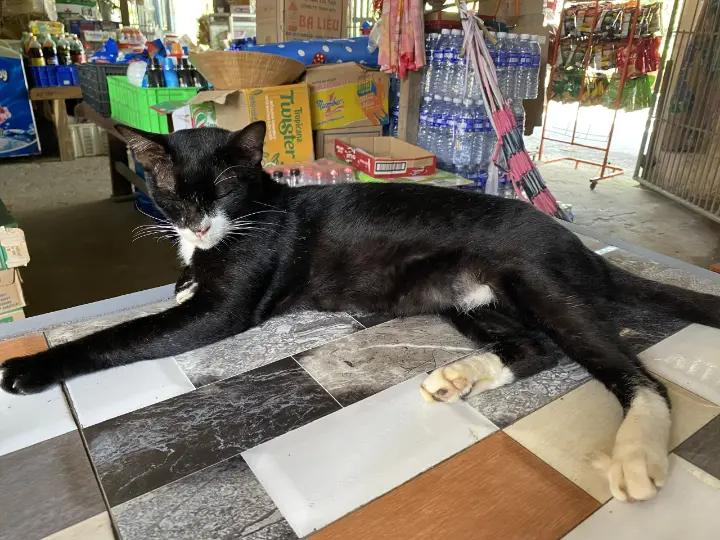 @Hãy làm điều mình thích!🥰