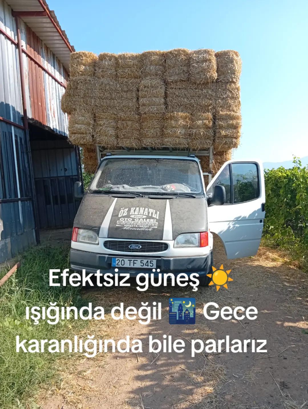 @Ali &Ccedil;ankaya