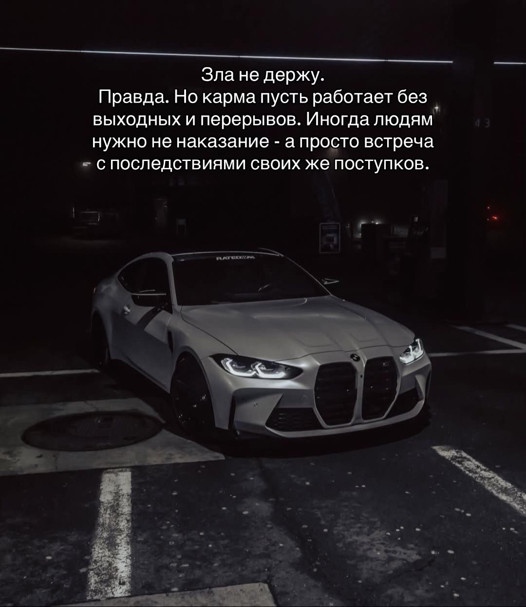 @777_koshka_777_