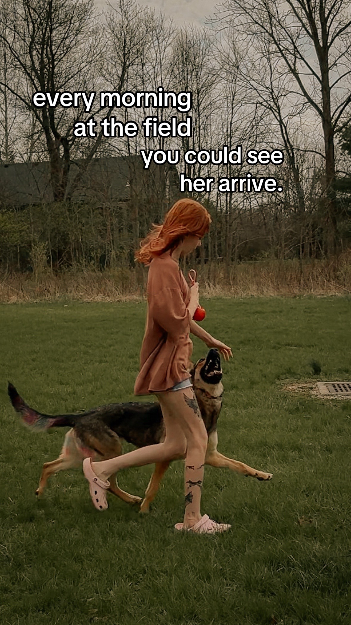 @Kay and Kipper 🐕