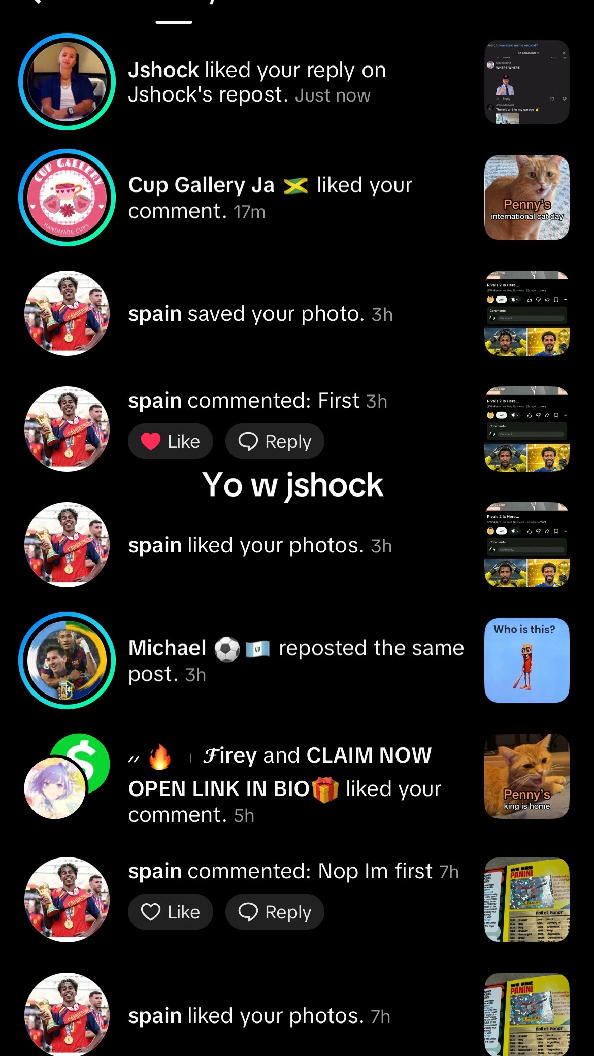 @michealafton113