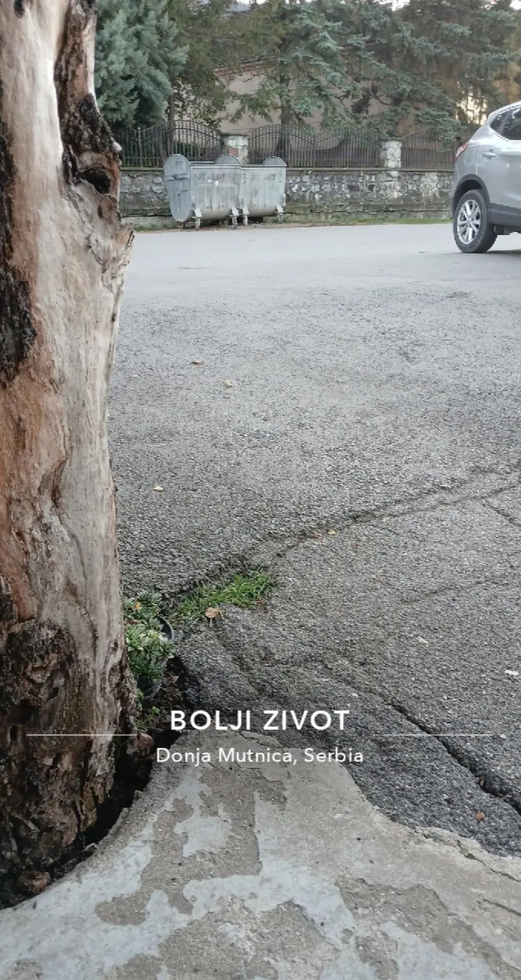 @žikaa🤙🏼