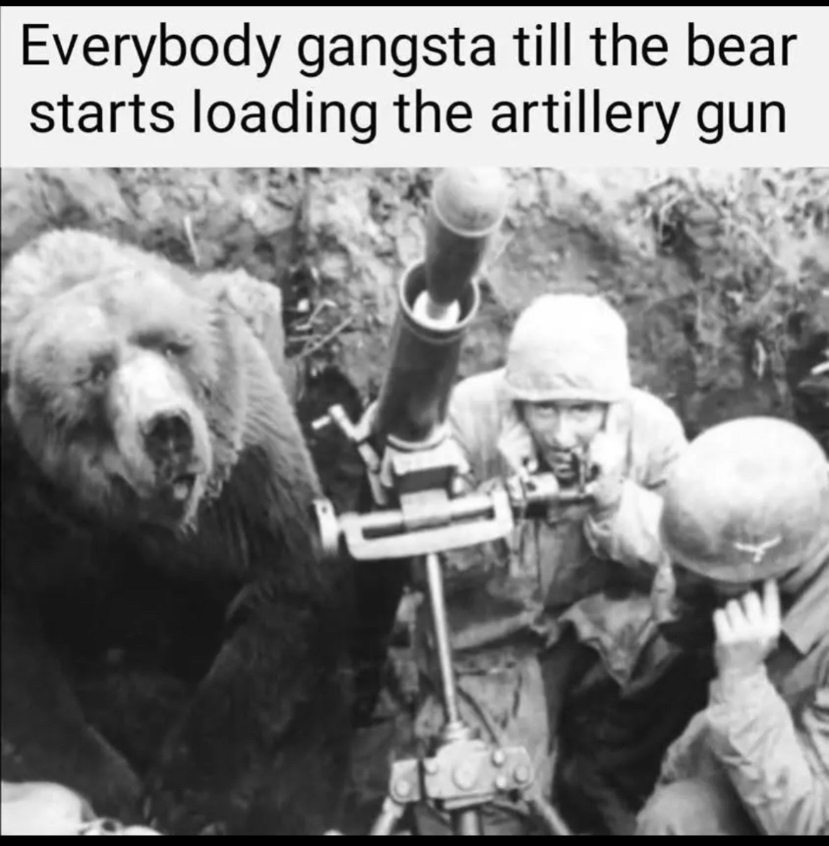 @M60