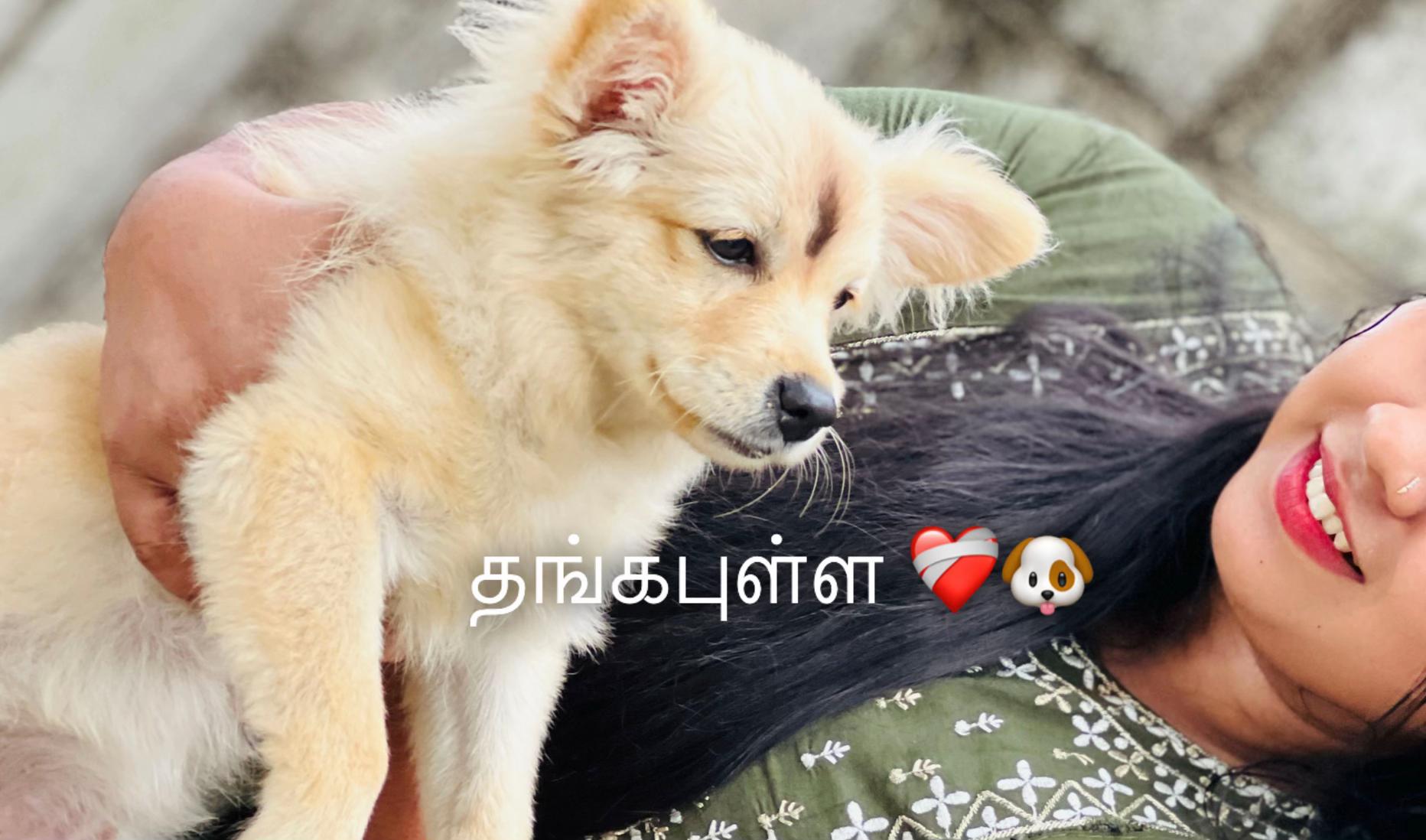 @ᥫ᭡ 𝐒𝐡𝐀̀𝐦👸🏻🧿❣︎
