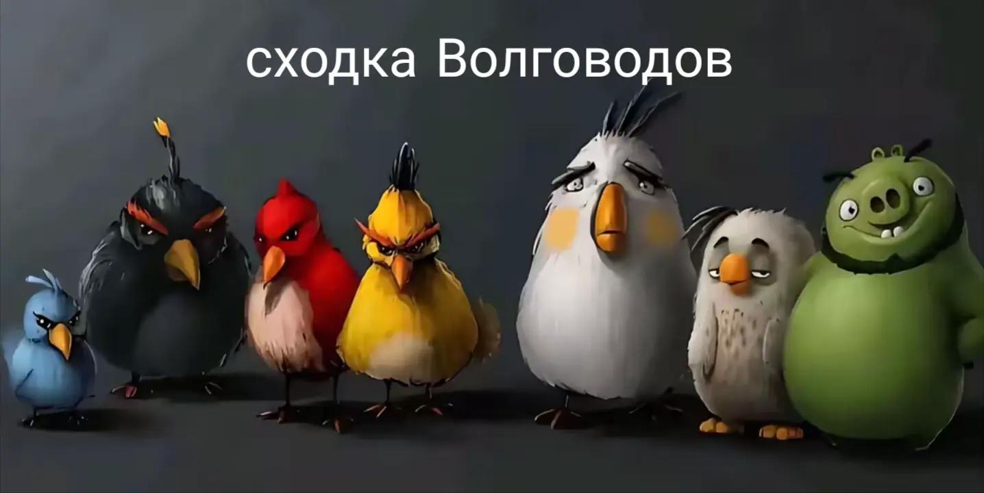@VolgaVod_mem