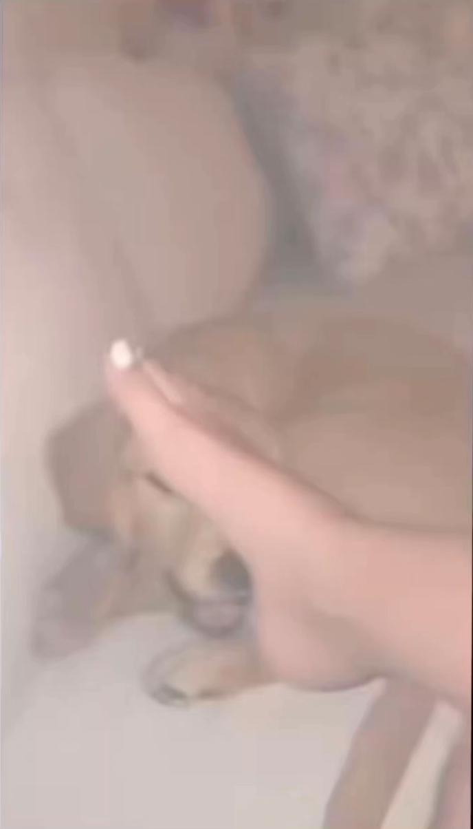 @່