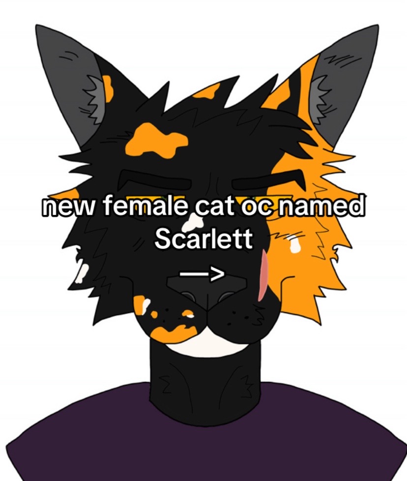 @meowfredo (𝕔𝕙𝕒𝕫&rsquo;𝕤 𝕘𝕗🦈)