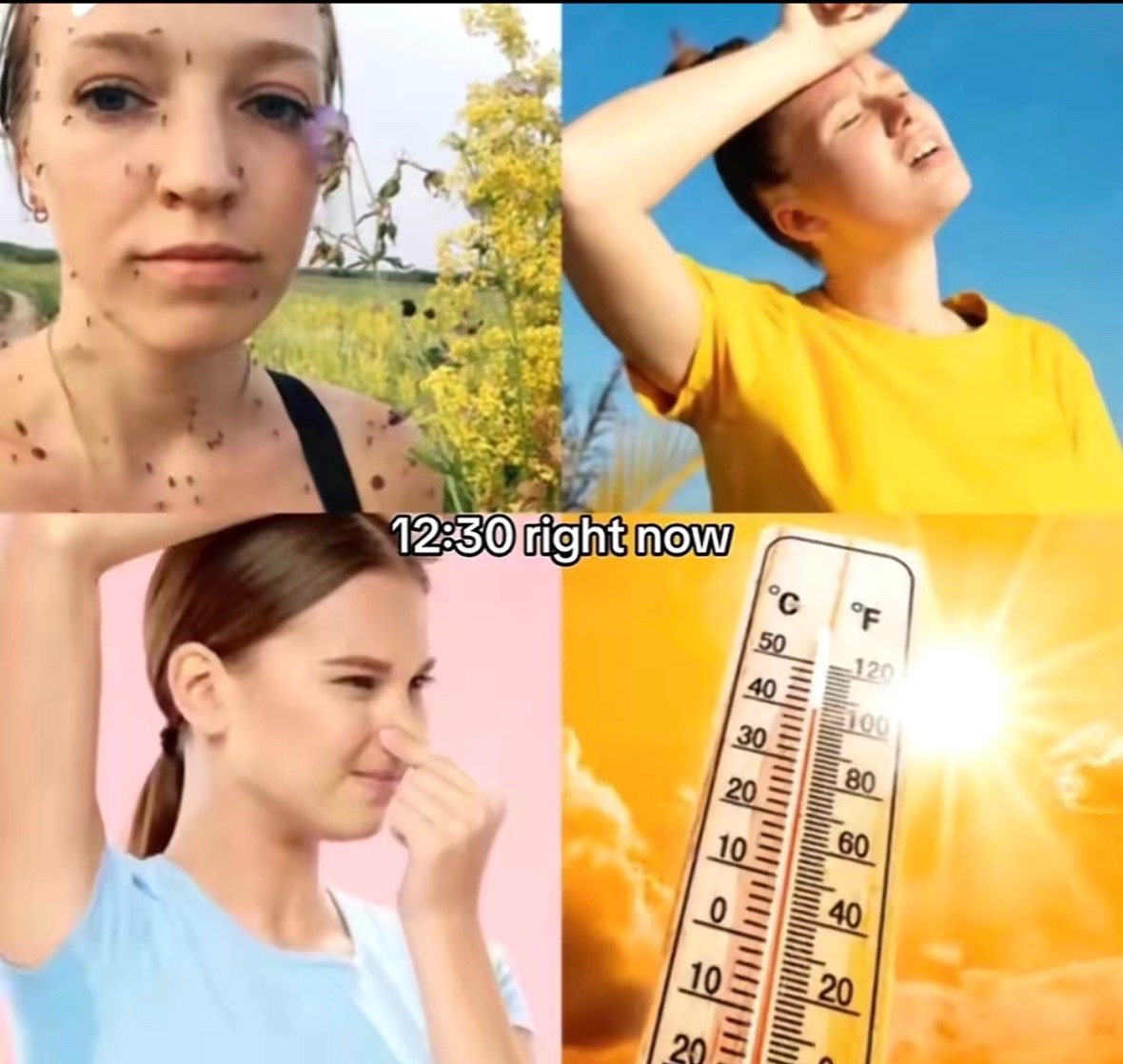 @𝒜𝒫𝟑