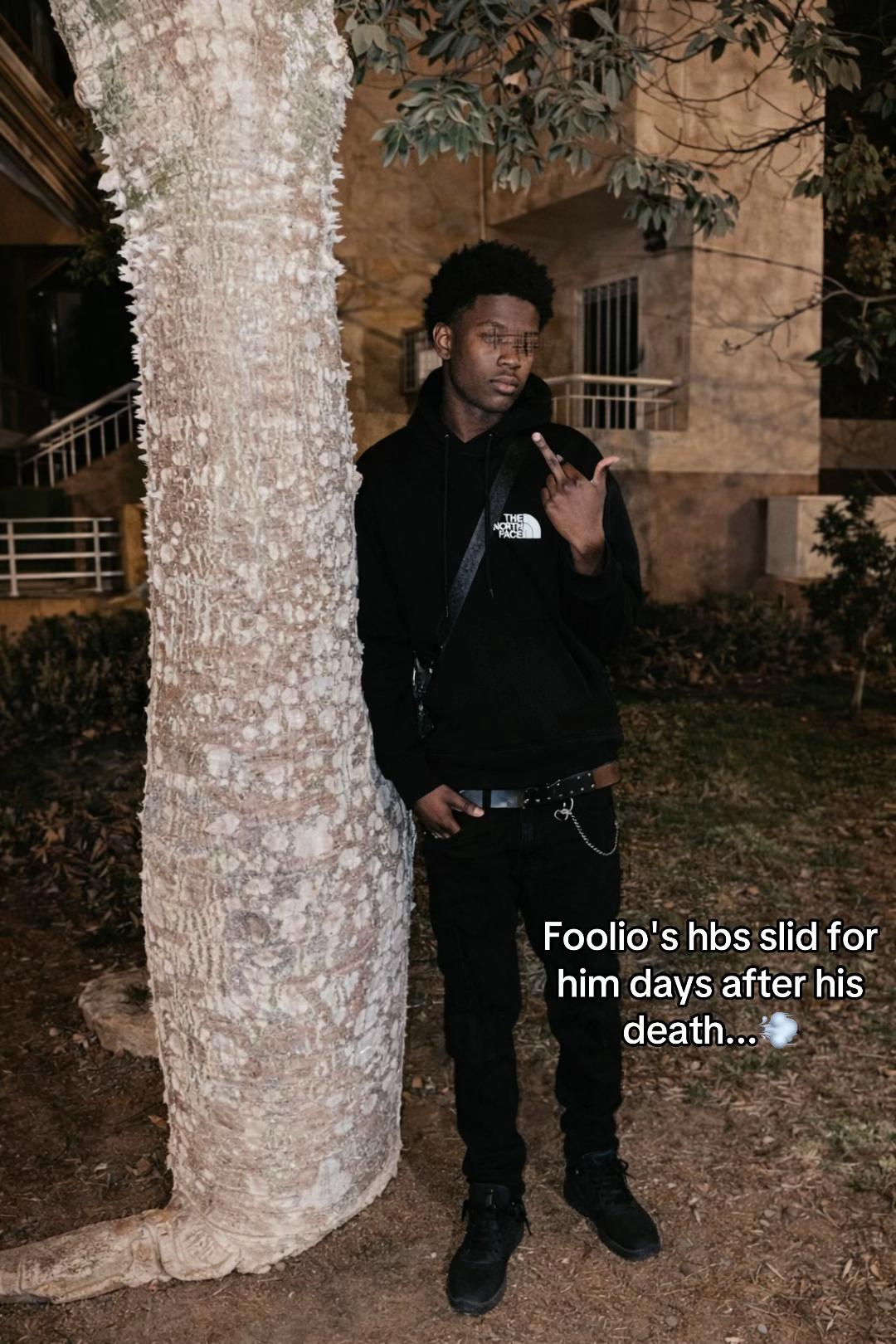 @🐍