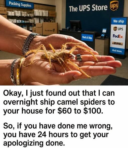 @honorably707