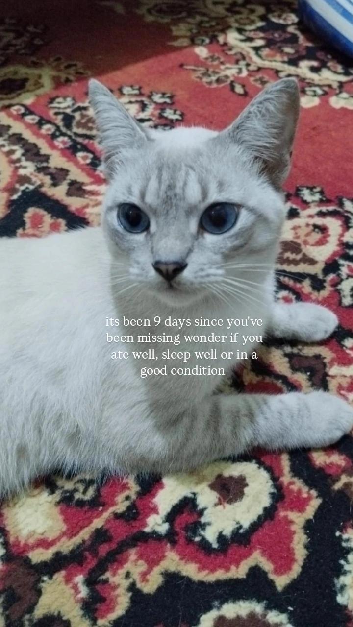 @katherine