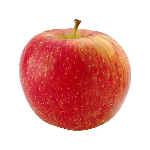 @apple for a brain