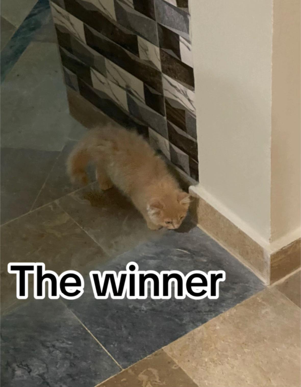 @๐ ๐ ๐ซ