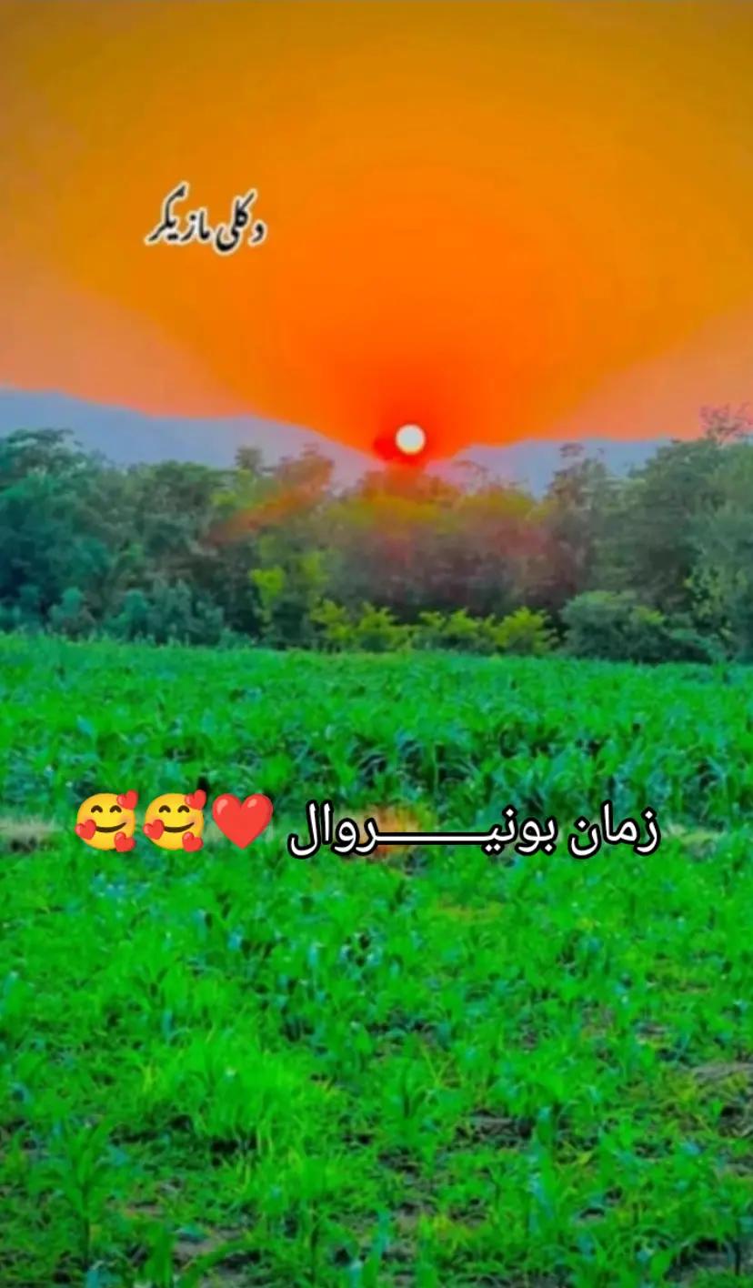 @زمــــــان بونیـــــروال---302