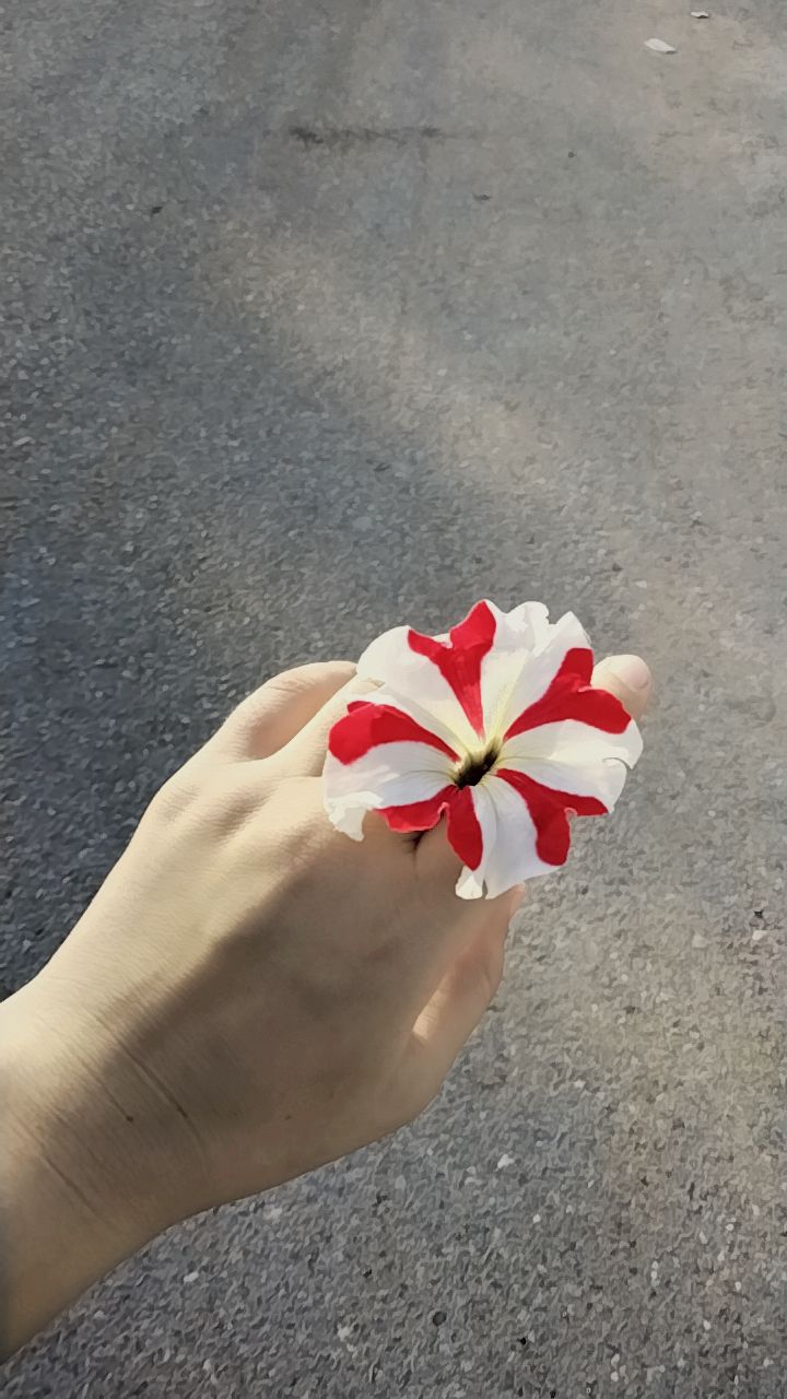 @Karina