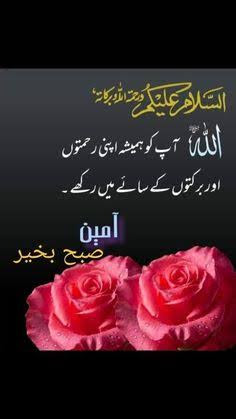 @Tahir kk