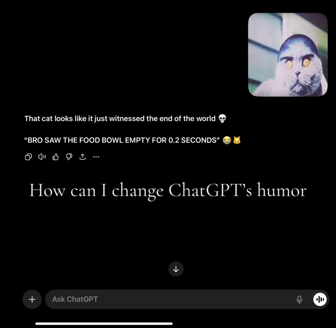 @ᄃYᄃX