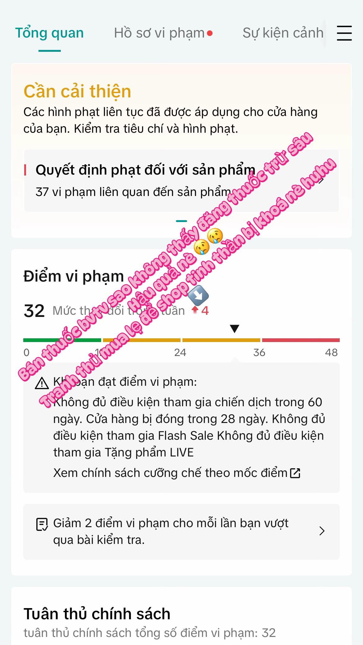 @VTNN Trung Hiếu 1