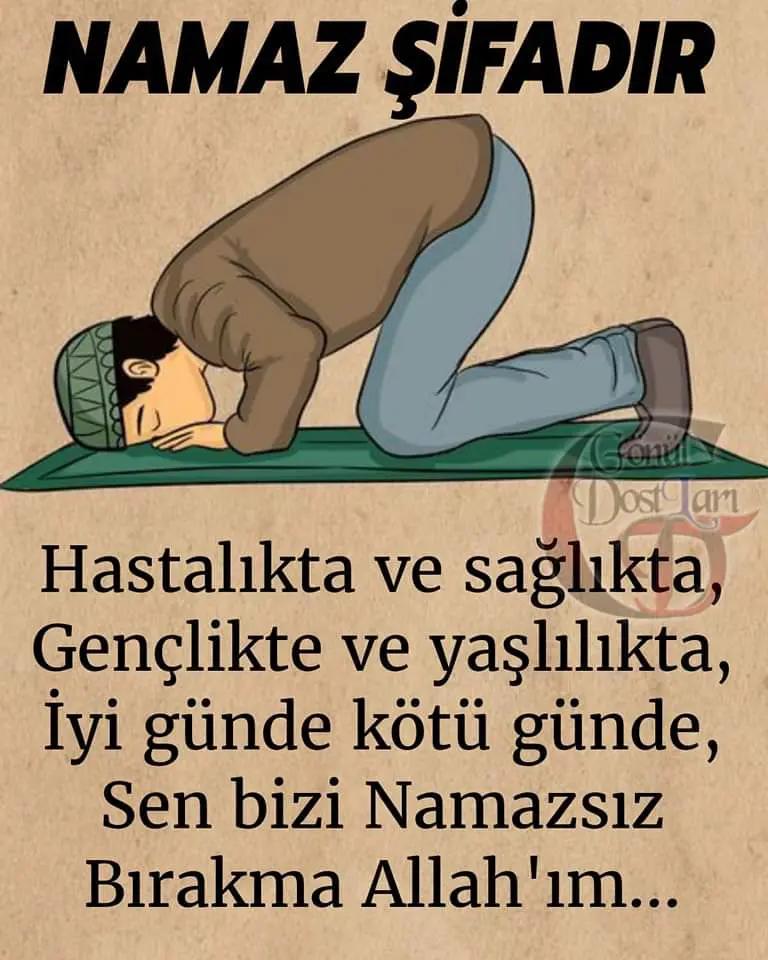 @ELFİDA