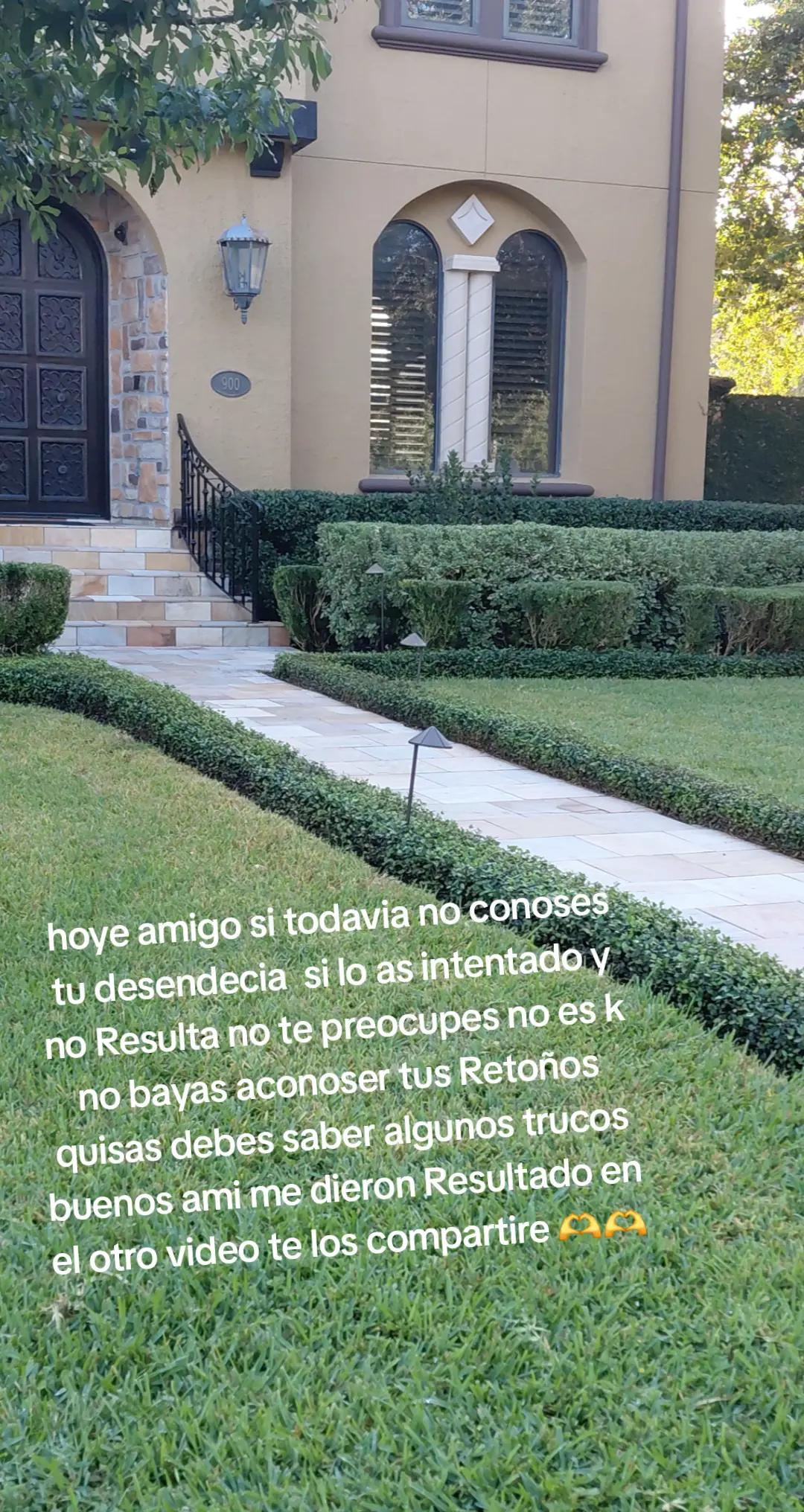 @Axel Ramos