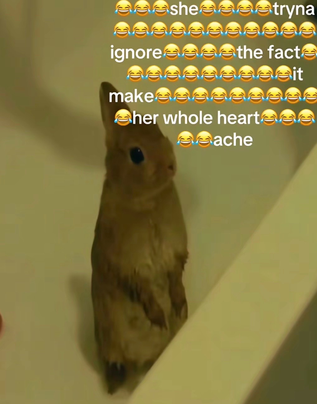 @a🪽