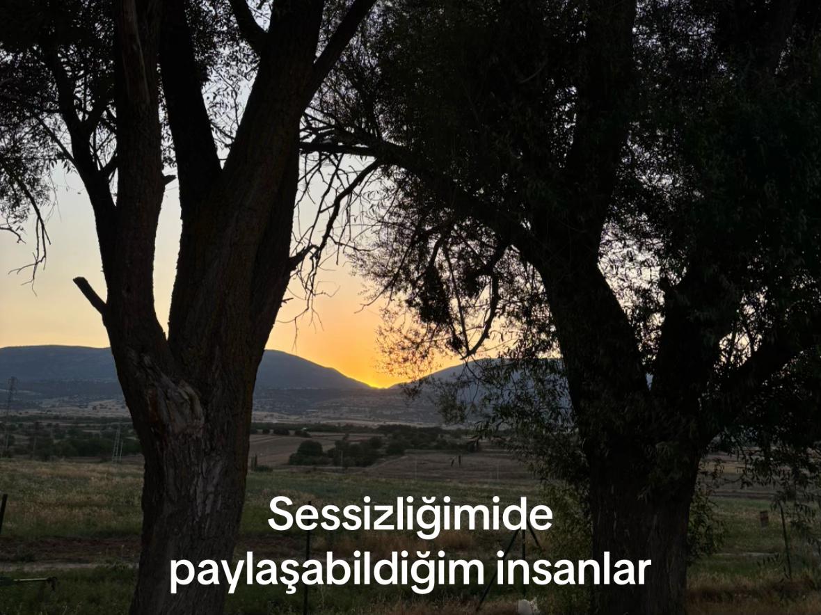 @beyzosderler