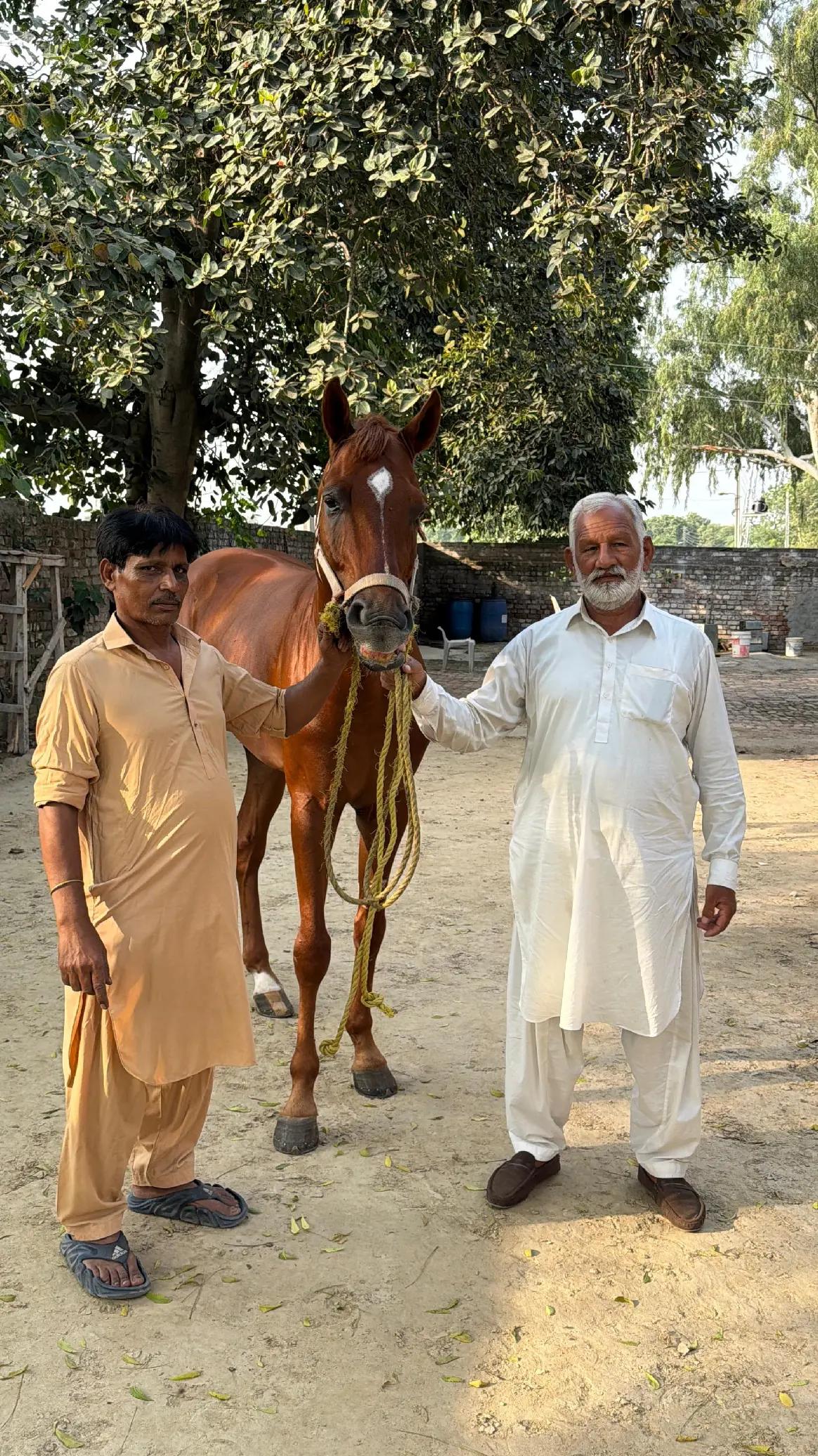@JB JAVED