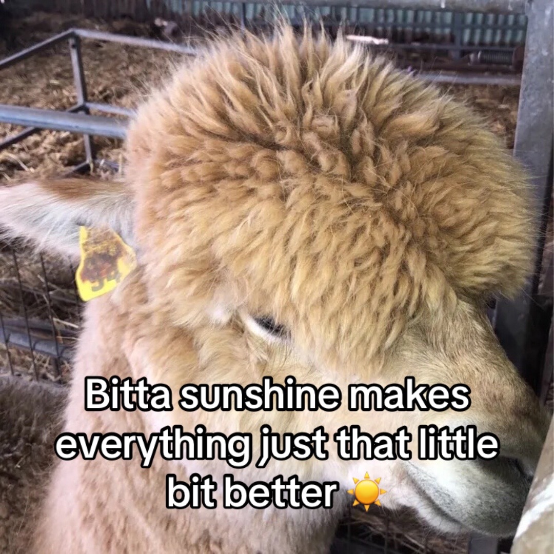 @NorbertBacon