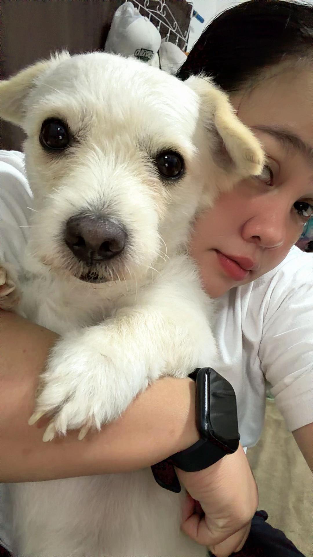 @autum🐕
