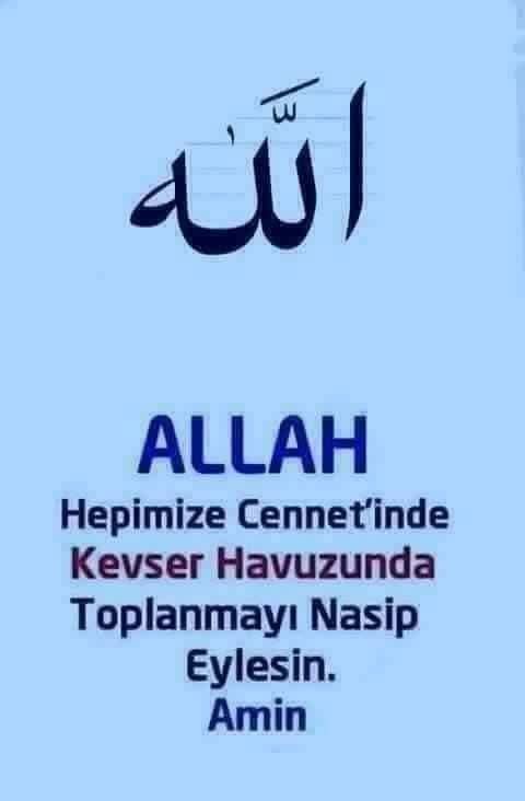@şeenol Albayrak