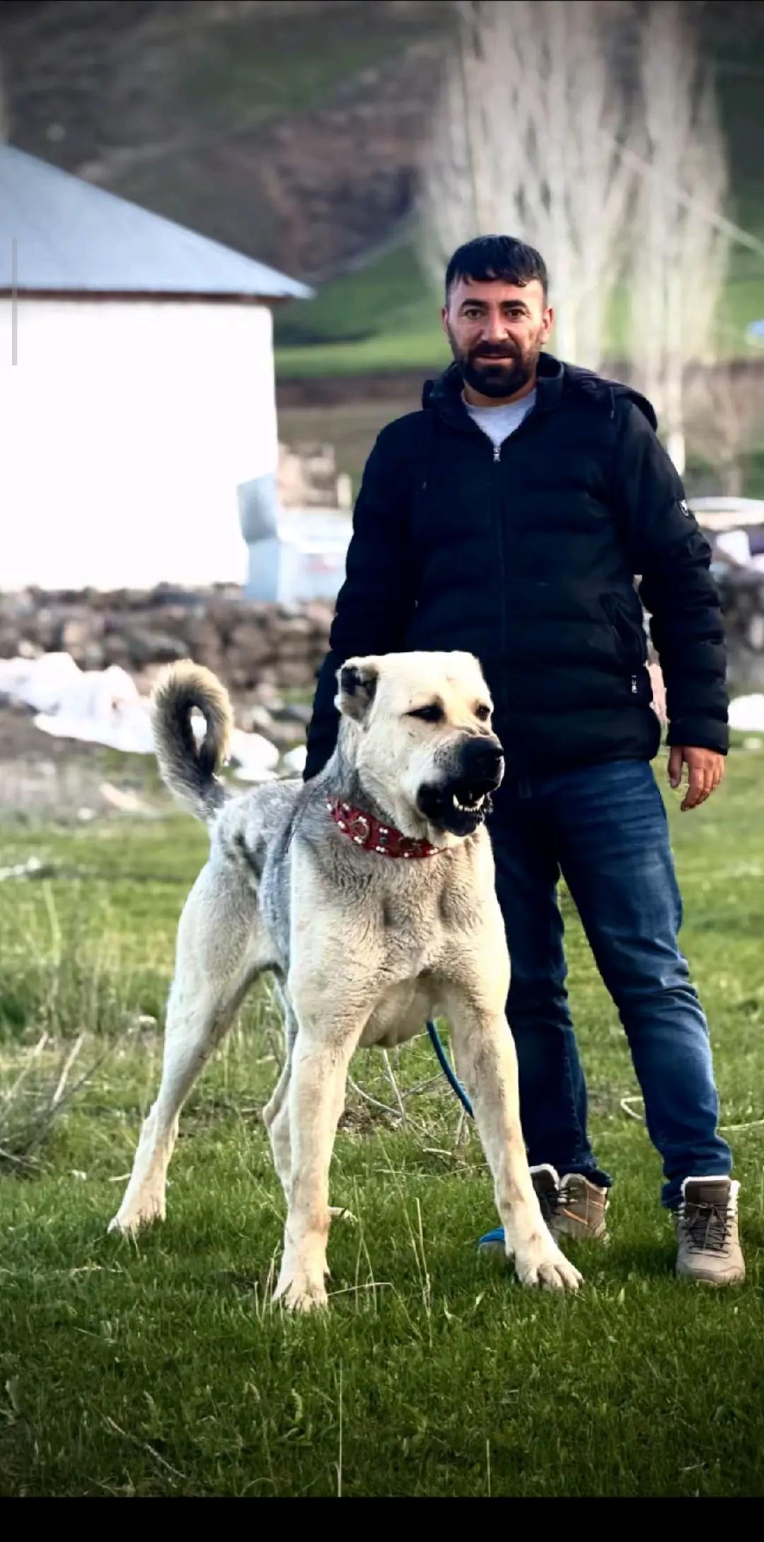 @Yusuf saldık