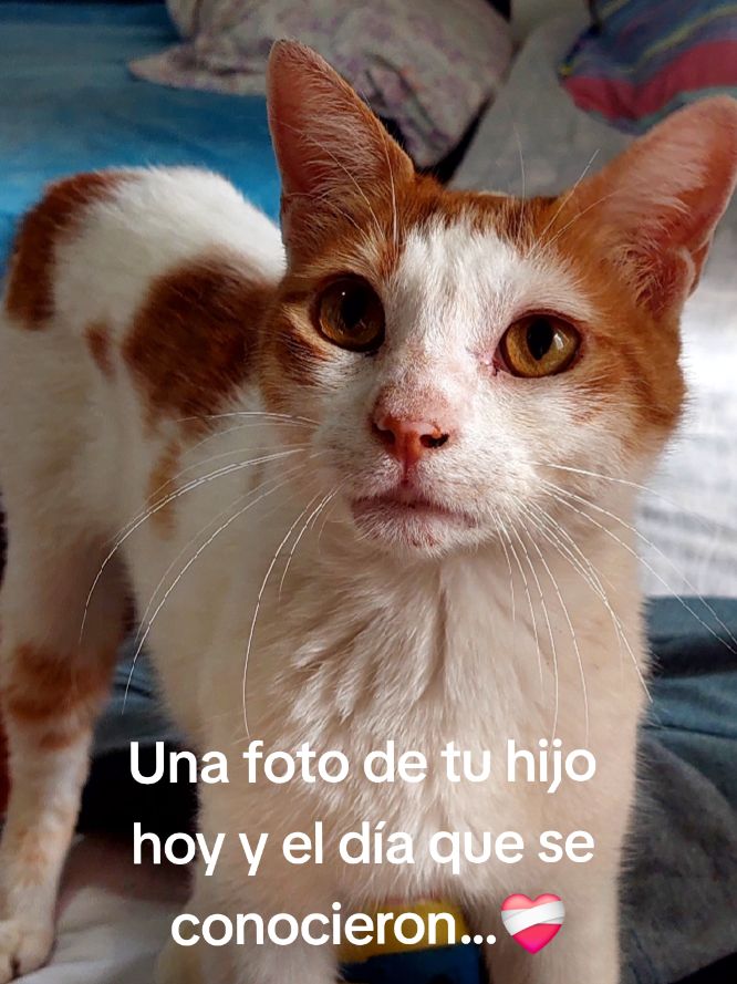 @Mica⚘️