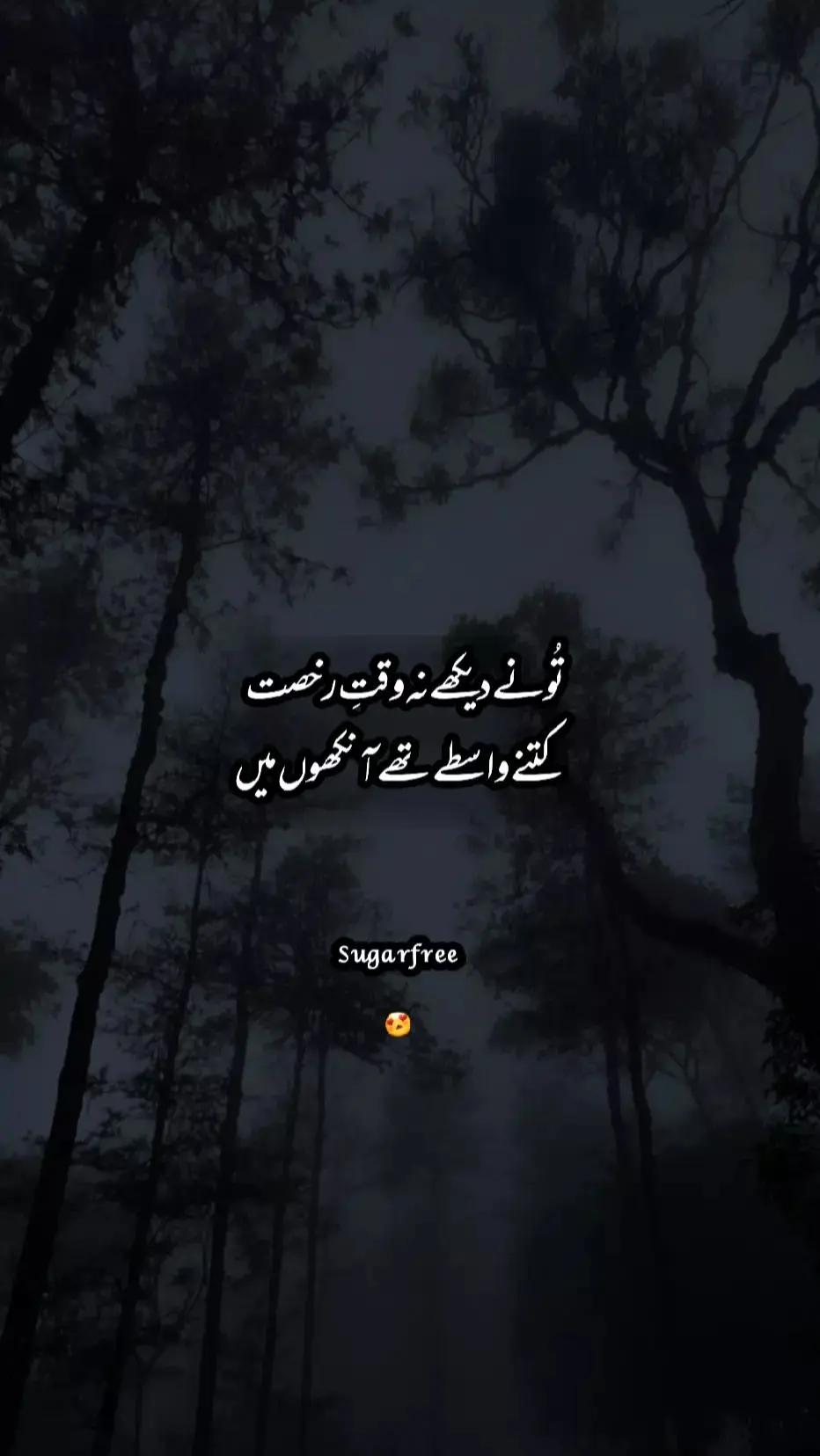 @Taimur Zaheer 🤍