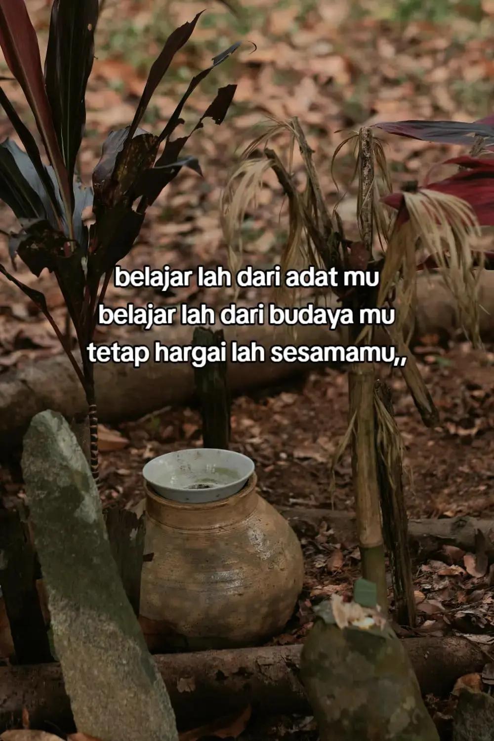 @abans
