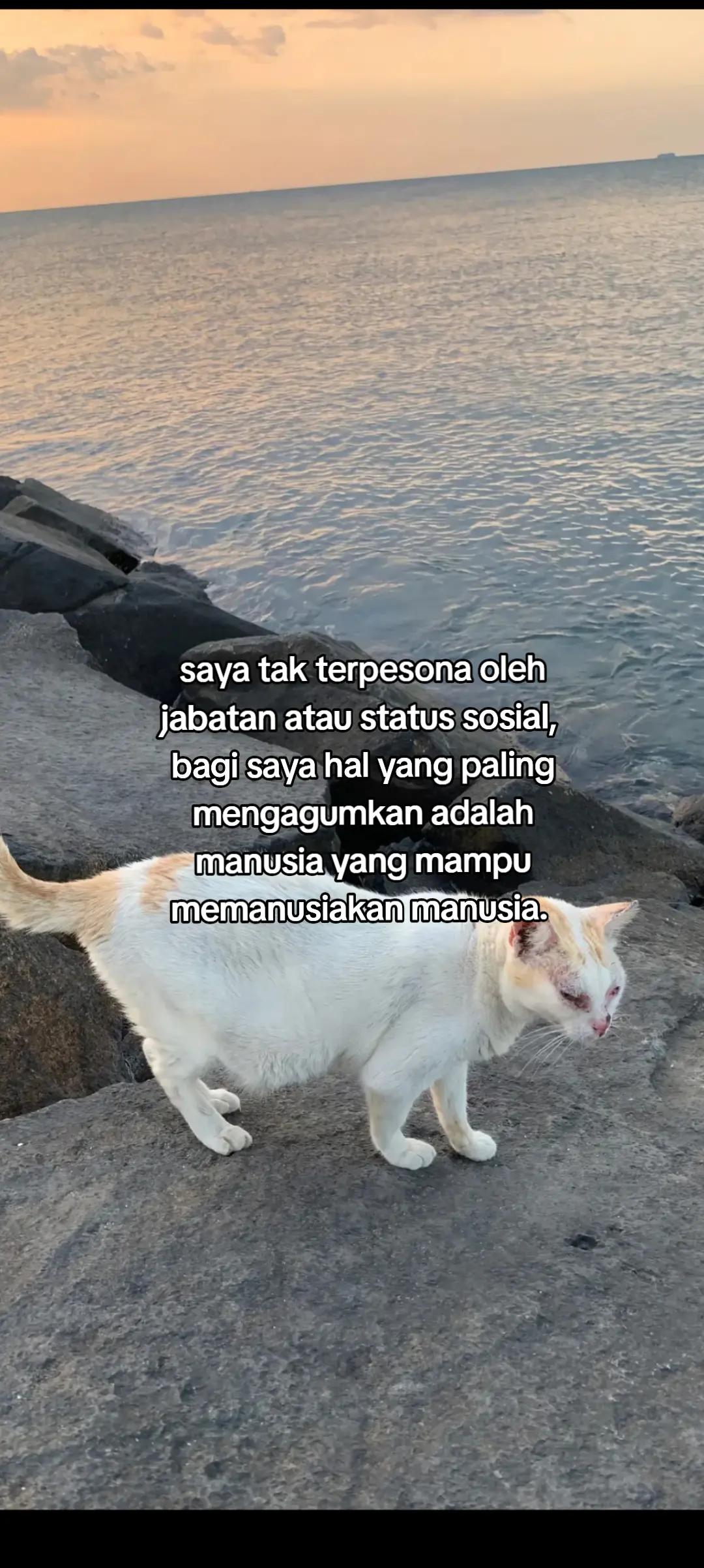 @1717