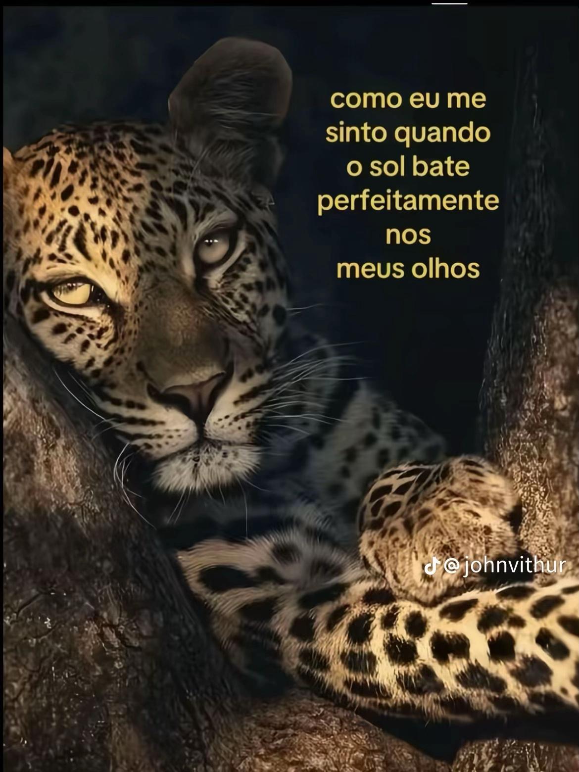 @Saraa