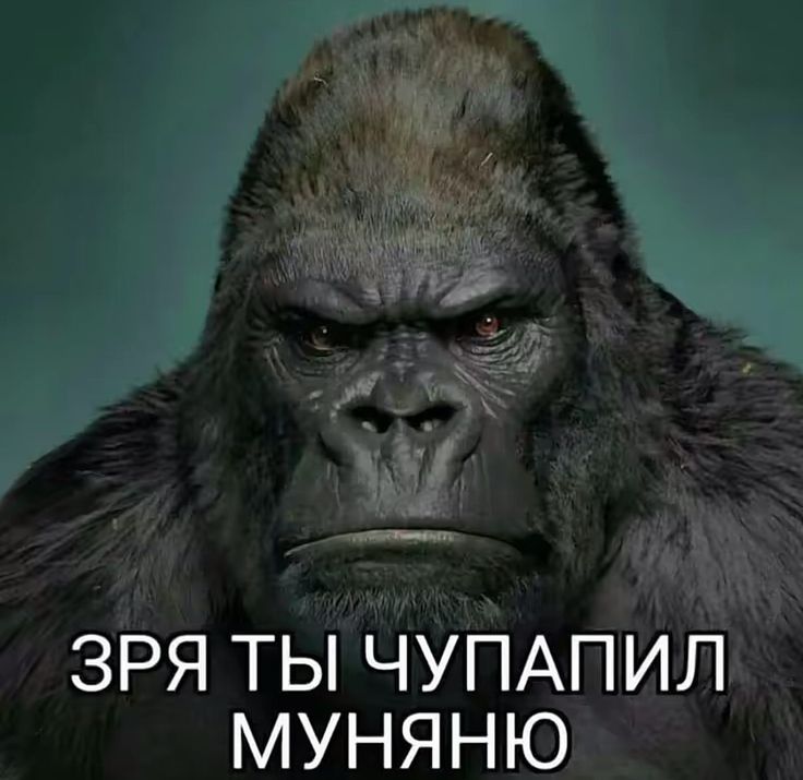 @Эцио Аудиторе да Фиренце