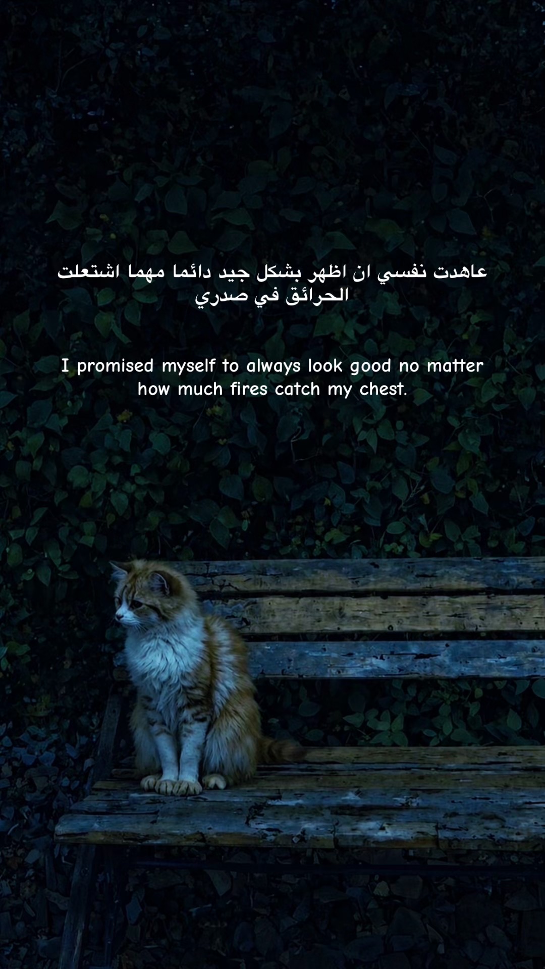 @𝙛𝙧𝙞𝙙𝙪𝙤𝙢  🥀❤️&zwj;🩹