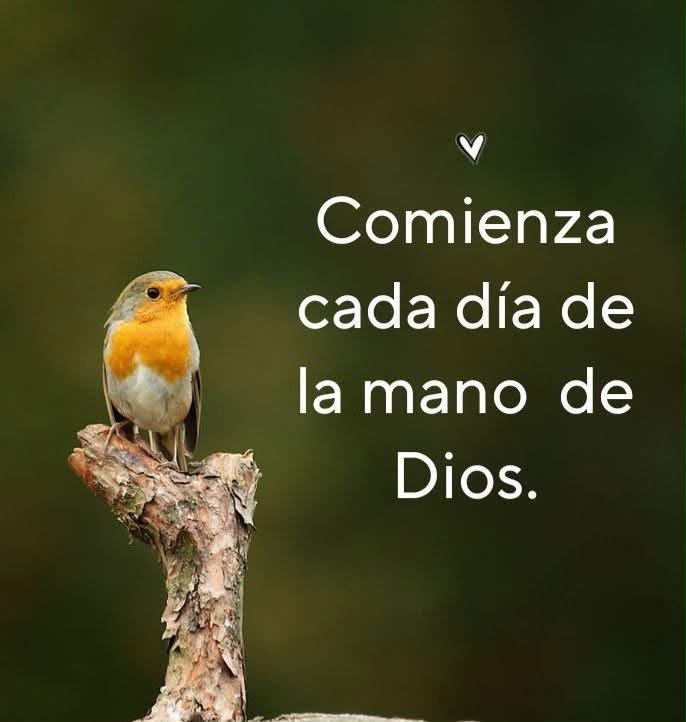 @Bella Durmiente hasta la muert