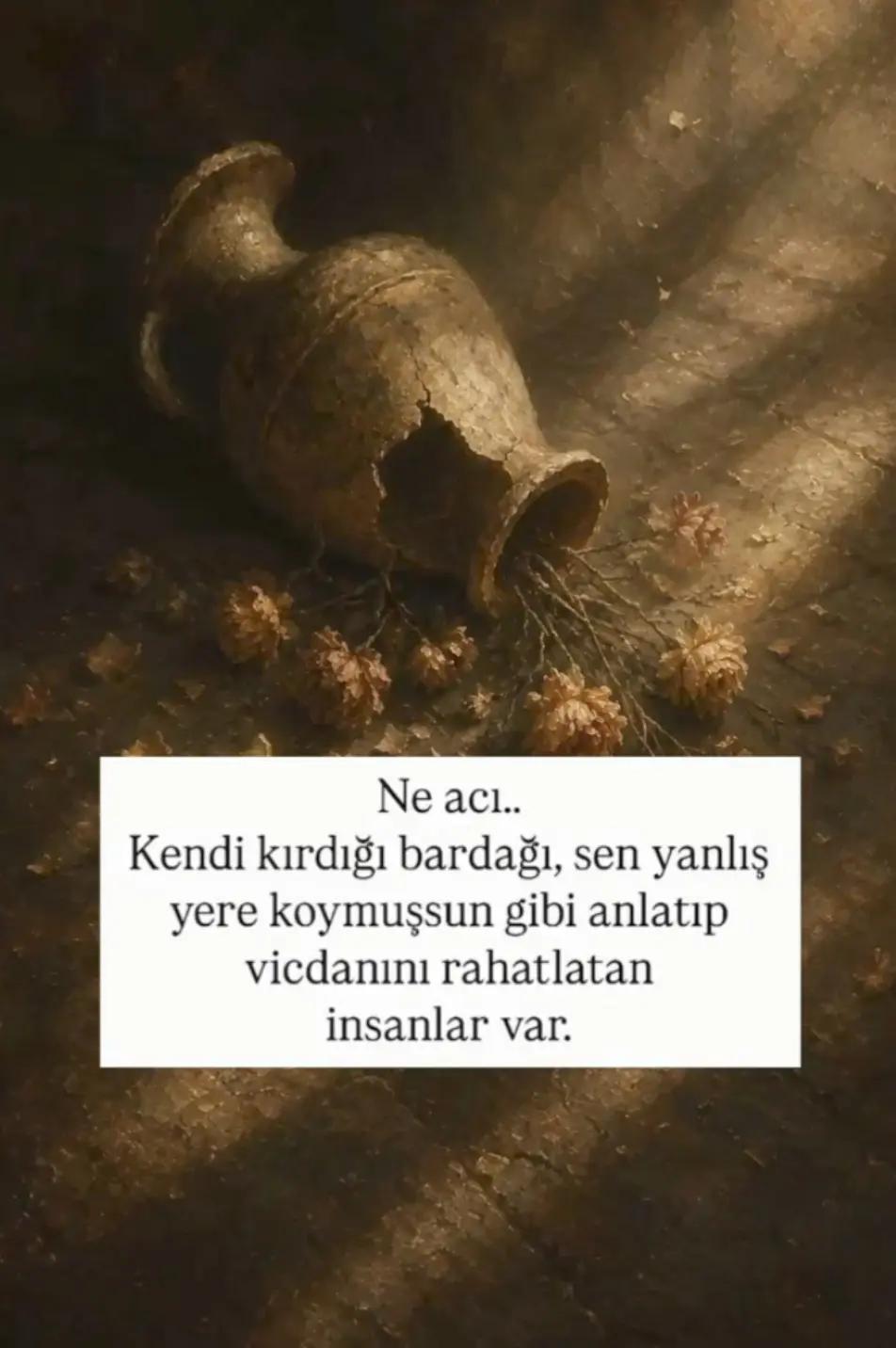 @Tahsin_Piko
