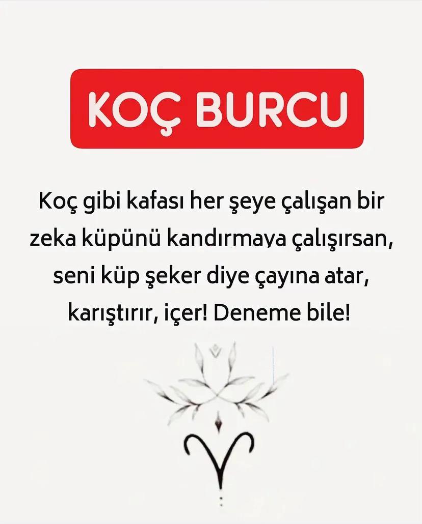 @kocburcu6