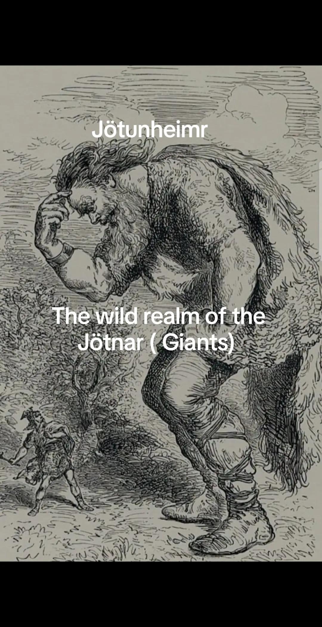 @Old man Berserker🪓Úlfheđnar
