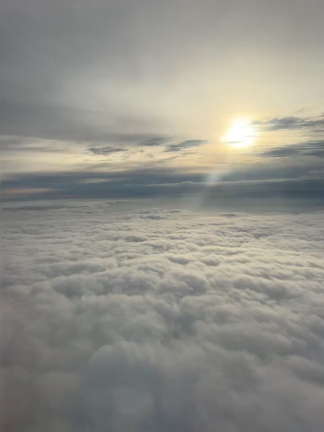 @mia