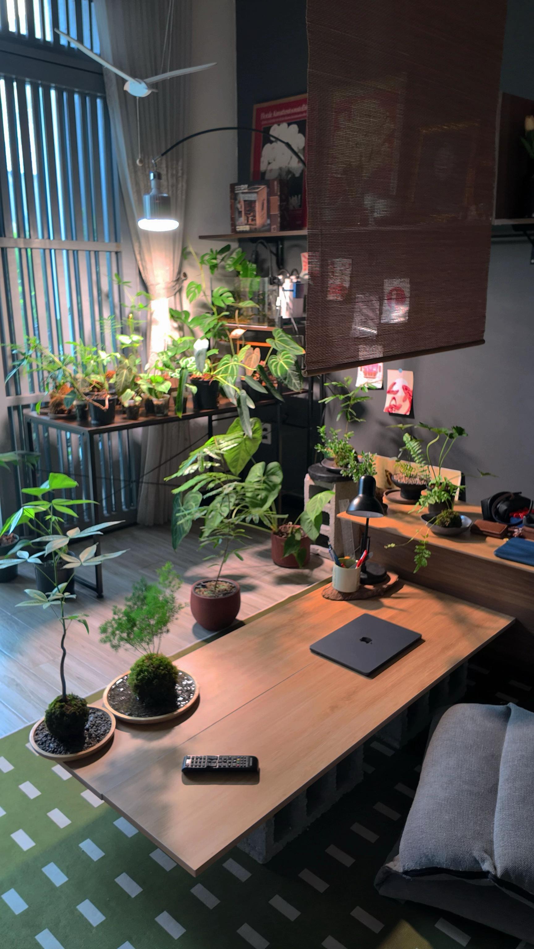 @Bảo tàng lá