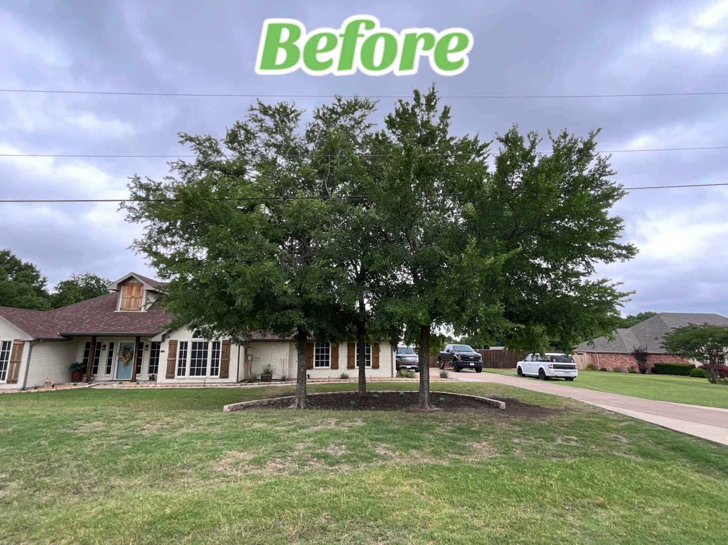 @Live Oak Tree Service
