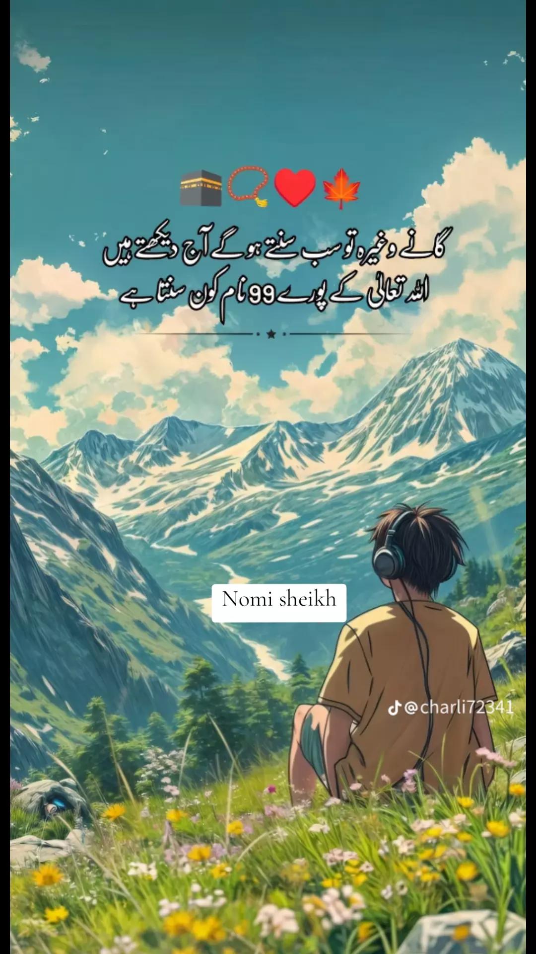@NomanSheikh157