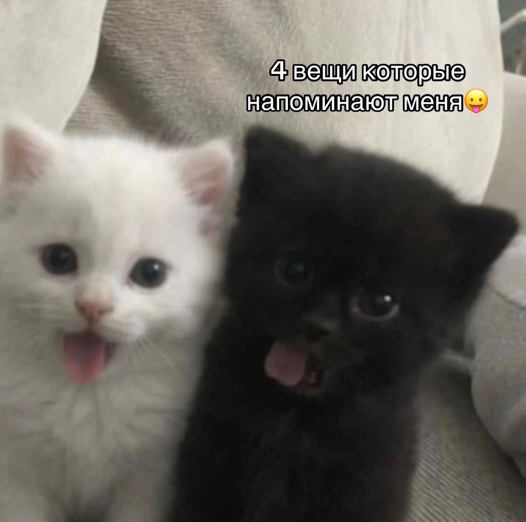 @ledksuu1🎐